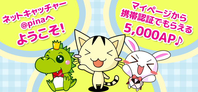 ネットキャッチャーアピナへようこそ！